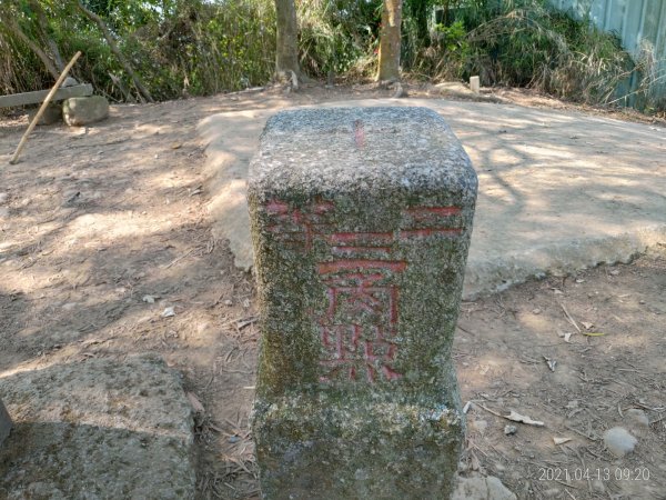 [新竹芎林]飛鳳山~芎蕉窩山...大板根1348047