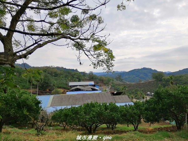 適合賞景健身親子型步道~鳳凰山觀音山步道1244176