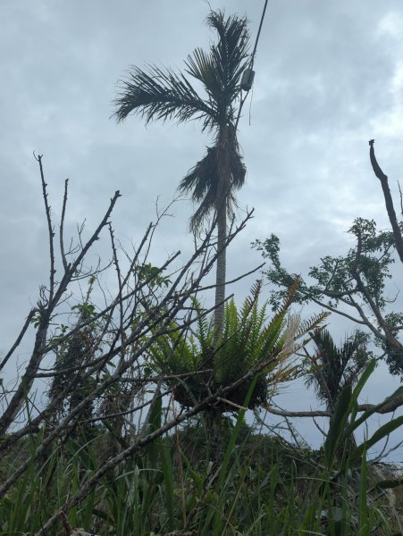 2025.02.27－月眉山2727893