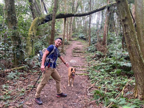 望鄉部落.獵人古道.望美山.瓊山【人與自然山林的恩怨情仇】2731407