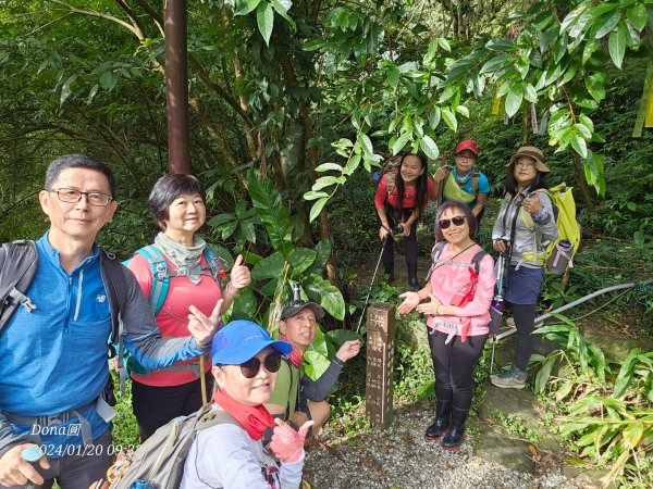 東勢大崙、東勢坑山、觀音湖山O走2986206