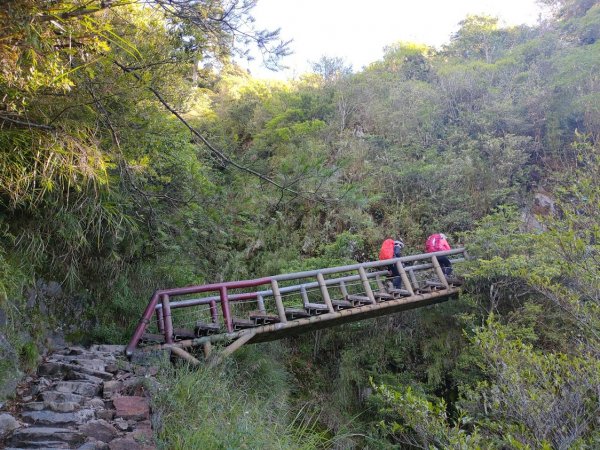 玉山主峰 北峰 西峰1035609