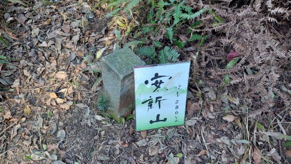 安坑五山縱走2784626