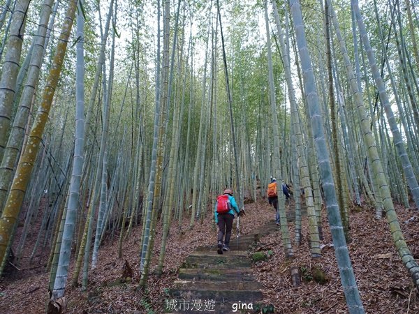 【雲林古坑】舒適宜人。 石壁山連走好望角嘉南雲峰2755251