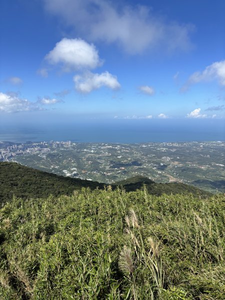 面天山、向天山、向天池2921065