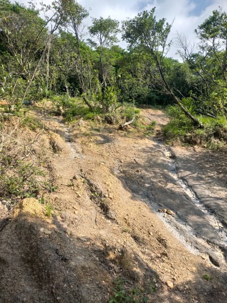 基隆一日雙塔2788174