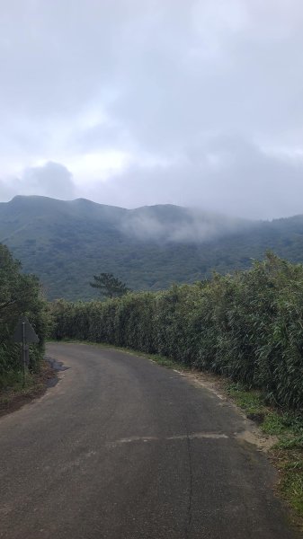 2026-0116 大屯三山_貴子坑_北投2984837