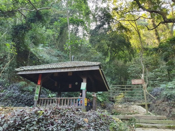 【彰化社頭】十八灣古道&中央嶺造林步道1500535