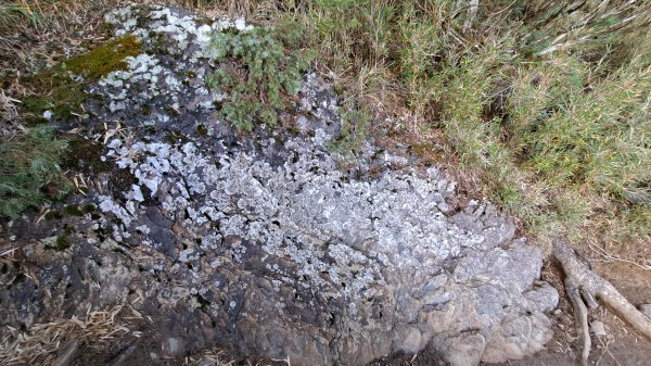 合歡西峰單攻1216993