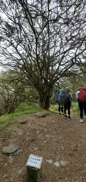 2025國慶連假_南湖群峰7座百岳行2916915