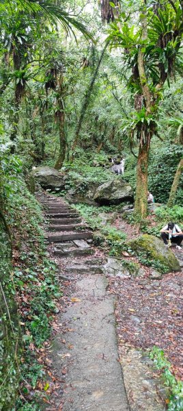 聖母登山步道2599813