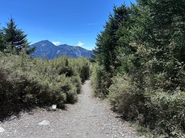 小奇萊步道2777624