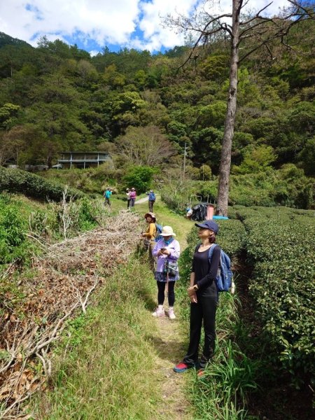 帖比倫峽谷瀑布與紅香溫泉2728718