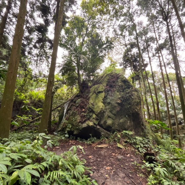 20250421_向天湖山步道（苗栗小百岳）2855802