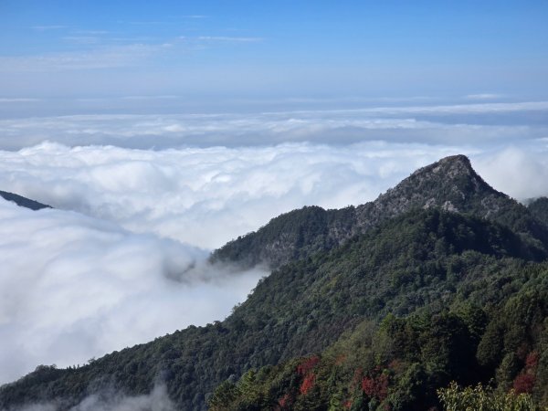 鳶嘴稍來山之楓紅／雲海2974056