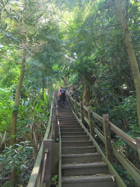 2026.05.02－聚興山步道3045920