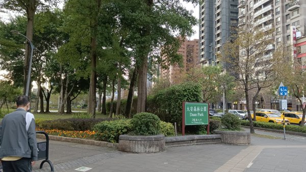 大安森林公園2114402