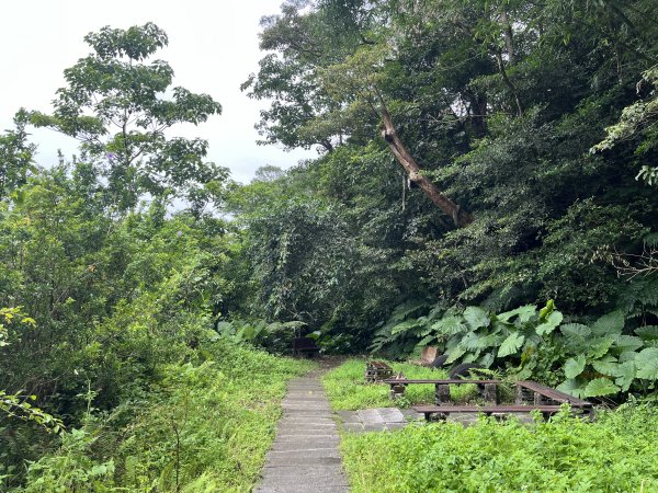 [微笑山線_第三段] 2025_0720 鳶山山系_鳶尾山2843642