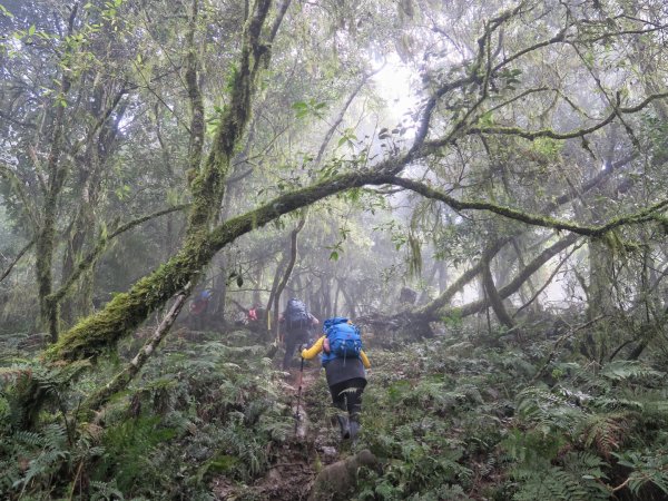 大禮大同部落 千里眼山 砂卡噹步道1295409