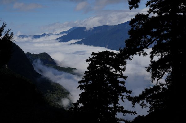 南投 信義 玉山前峰2352062