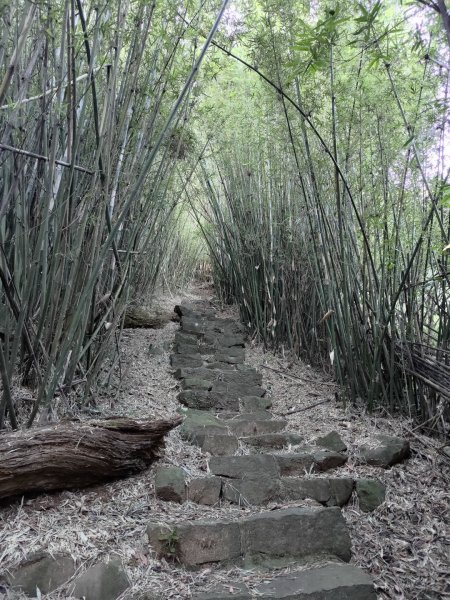 【台北市北投區】中正山(彌陀山、十八份山、大竿林山)2303483