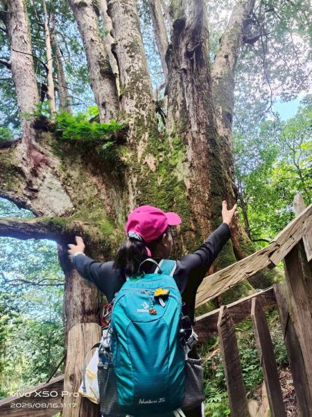🌈8/16（六）遠的要命的王國~鎮西堡B區神木巡禮✨FB：熊熊趴爬走🌈2861621