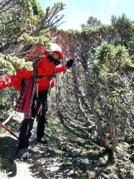 我的夢之 玉山南峰。加碼東小南山1051961