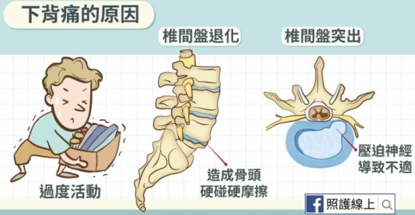 背痛超難受 龍骨保健很重要 懶人包 文章 運動筆記