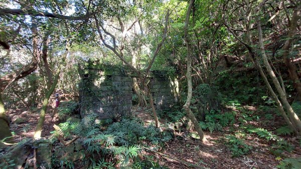 北投清天宮-外人別莊-馬偕別墅-面天山系O型走2787754