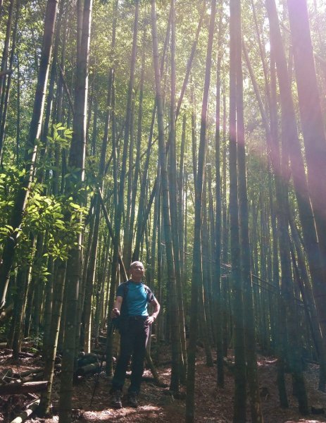 鳶嘴西稜O走（大崠山、長壽山、鳶嘴山）1073391