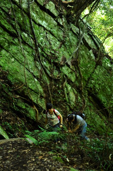 谷關七雄 波津加山644742