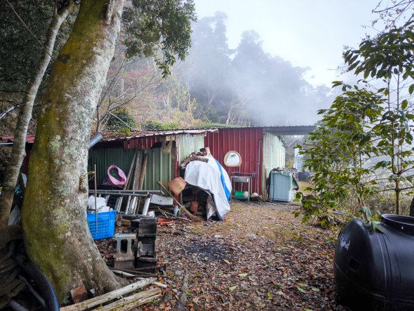 2026-02-08 藤枝山2998434