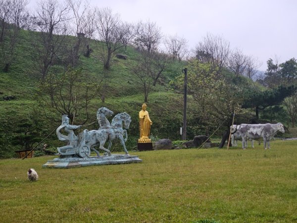 20241222冷飯坑山-楓子林山-烏月山群峰-昇高坑山-竹麻寮山2674710