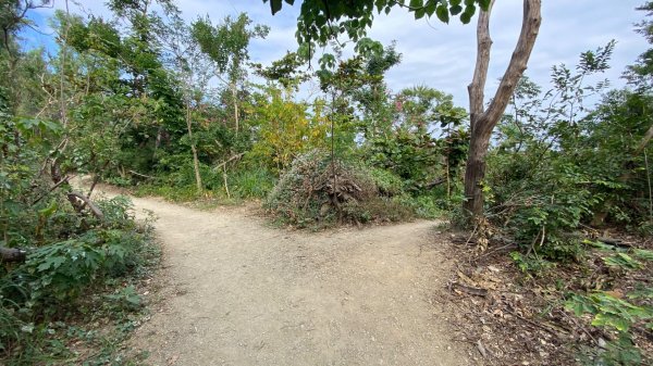尚書林山步道(鳳凰山)2730902