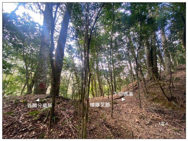 加里山前山隘勇線、騰龍山、橫龍山 連走3027646