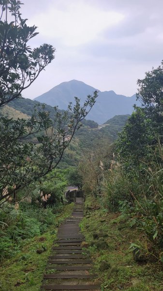 2021-1230 百二崁、燦光寮、貂山古道、地質公園步道O型1565413