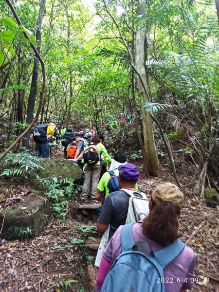 【大內連峰】大湖公園→內溝溪生態步道1727752