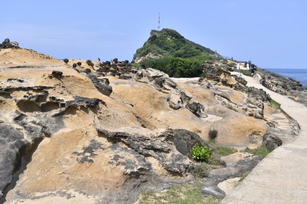 野柳岬山步道1393064