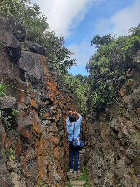 金瓜石，與奈良美智的詩意邂逅2883174