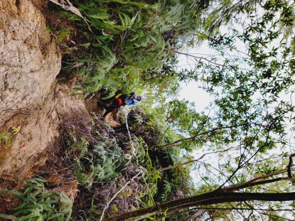 大砲岩-石壇山-八頭山-湯守岩-丹鳳山-202412222859779