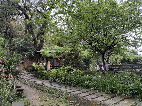 [微笑山線_第四段] 2026_0321 天上山系_天上山3020978