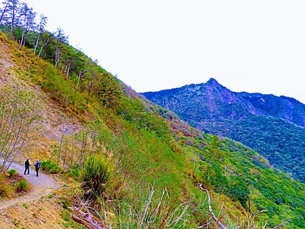 阿里山尋石山，五彩繽紛的石山引水道792452