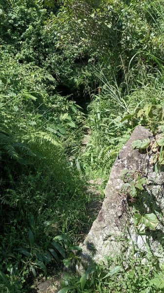 20251004 馬那邦山 - 珠湖 登山口2904887