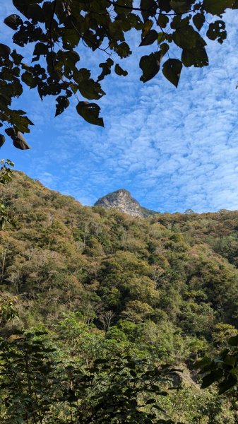 虎山步道2659272