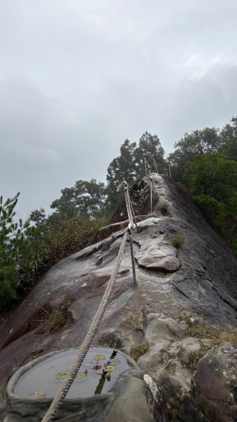 迎新（2026元旦2975604