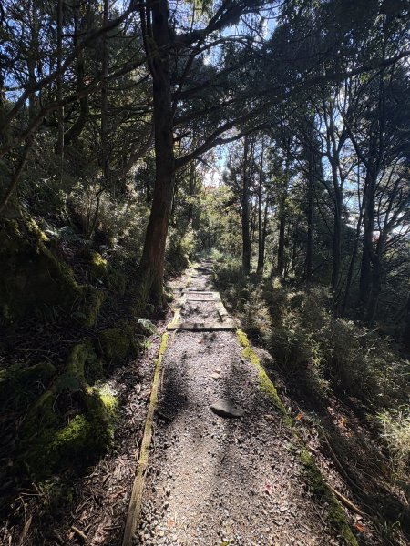 20251225塔山步道(大塔山)2970366