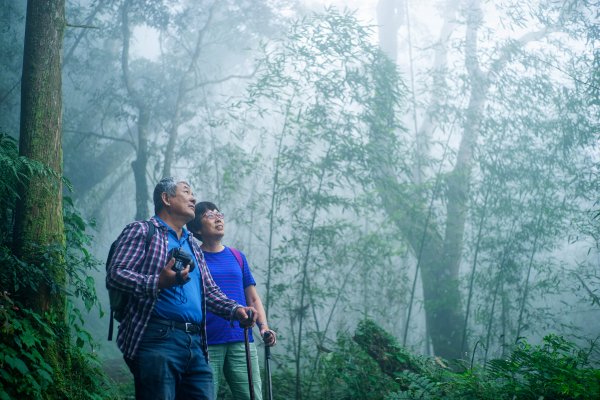 老爸老媽來登山 - 奮起湖大凍山步道