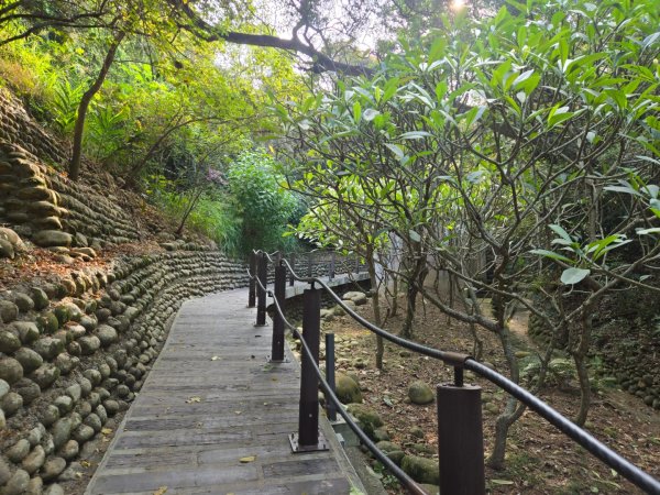 鐵砧山O繞3135981