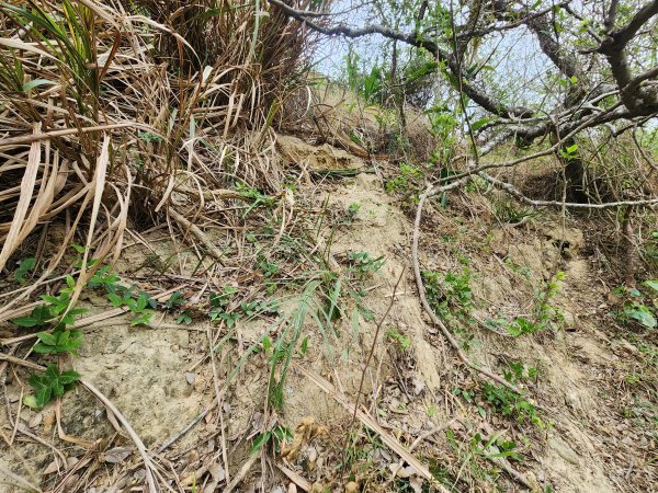 20250101海口山、糠榔埔山、闖水窩山及大牛朝山2726192