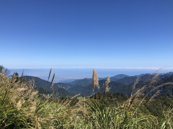漫步探訪台灣山毛櫸國家步道965924